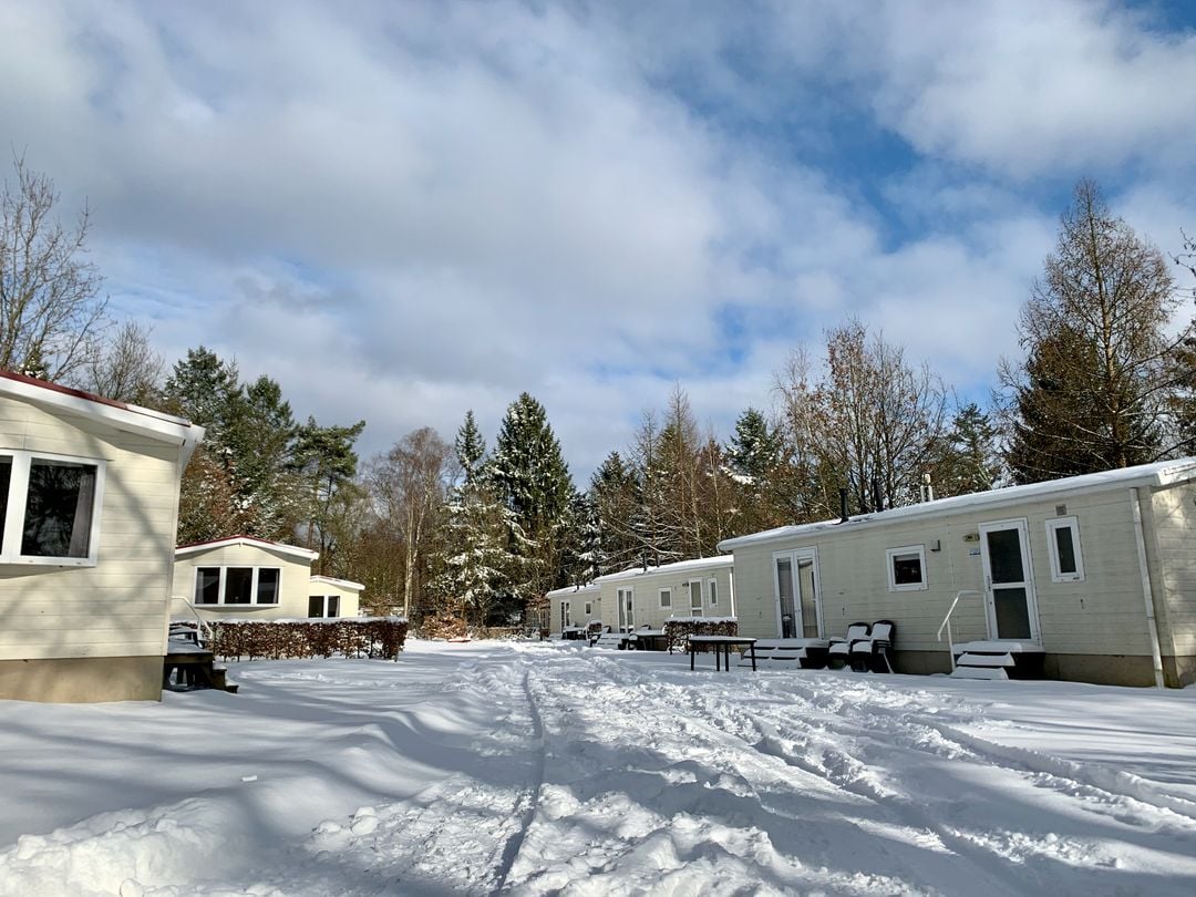 Get your company ready for winter